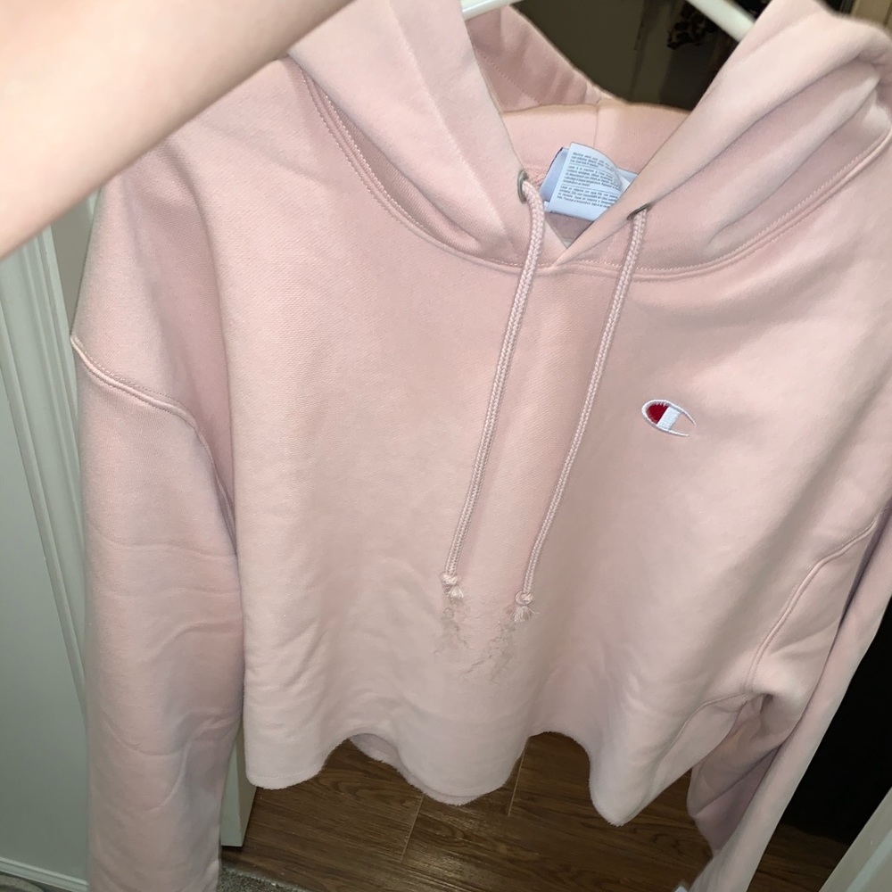 Champion reverse weave cropped hoodie